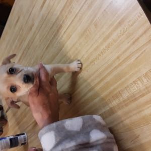 Meet your Posher, Tammie